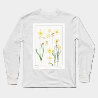 Jonquil (1896) Long Sleeve T-Shirt